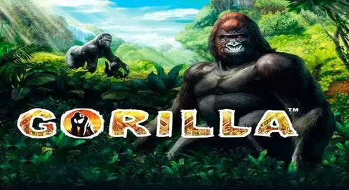 Gorilla Slot Online Free Play