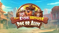 The Dog House - Dog or Alive Slot Machine Online Free Game Play